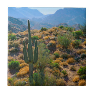 VS, Arizona. Desert View Tegeltje