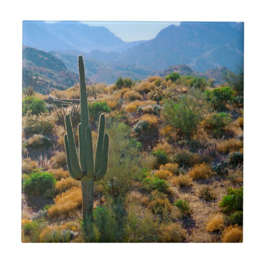 VS, Arizona. Desert View Tegeltje (Voorkant)