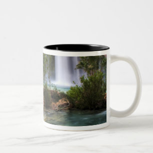 VS, Arizona, Havasu Canyon. De vredige Tweekleurige Koffiemok