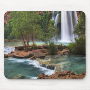 VS, Arizona, Havasu Canyon. De vreedzaam Muismat