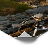 VS, Arizona, Lake Havasu City. Uitzicht West Poster (Hoek)