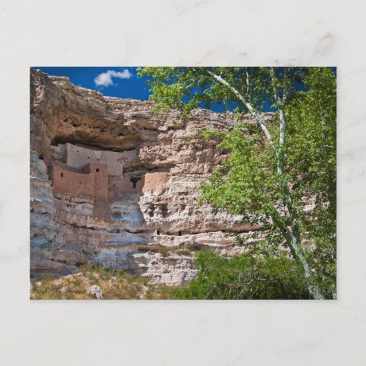 VS, Arizona. Montezuma Castle, De ruïnes Briefkaart (Voorkant)