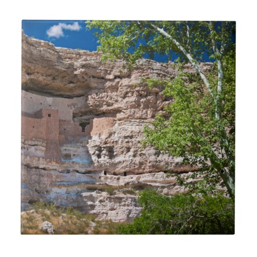 VS, Arizona. Montezuma Castle, De ruïnes Tegeltje (Voorkant)