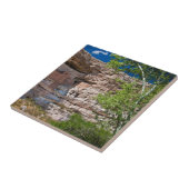 VS, Arizona. Montezuma Castle, The Ruins Tegeltje (Zijkant)