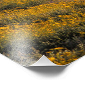 VS, Arizona, Organ Pipe Cactus National 2 Foto Afdruk (Hoek)