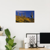 VS, Arizona, Organ Pipe Cactus National 2 Poster (Thuiskantoor)