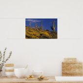 VS, Arizona, Organ Pipe Cactus National 2 Poster (Keuken)