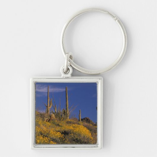VS, Arizona, Organ Pipe Cactus National 2 Sleutelhanger (Voorkant)