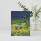 VS, Arizona, Organ Pipe Cactus National Briefkaart (Staand voorkant)