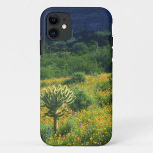 VS, Arizona, Organ Pipe Cactus National Case-Mate iPhone Case