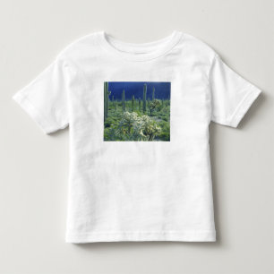 VS, Arizona, Organ Pipe Cactus National Kinder Shirts
