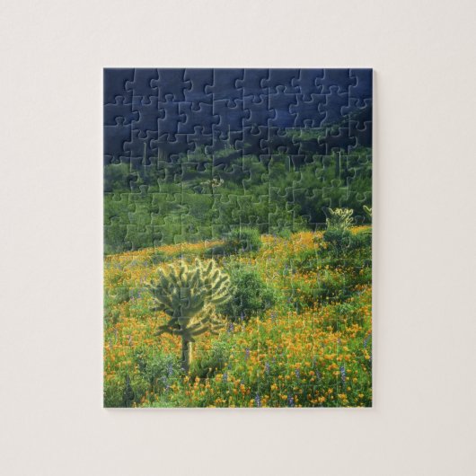 VS, Arizona, Organ Pipe Cactus National Legpuzzel (Verticaal)
