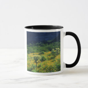 VS, Arizona, Organ Pipe Cactus National Mok
