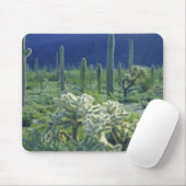 VS, Arizona, Organ Pipe Cactus National Muismat (Met muis)
