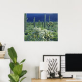 VS, Arizona, Organ Pipe Cactus National Poster (Thuiskantoor)