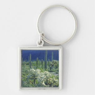 VS, Arizona, Organ Pipe Cactus National Sleutelhanger