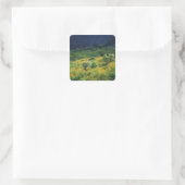 VS, Arizona, Organ Pipe Cactus National Vierkante Sticker (Tas)
