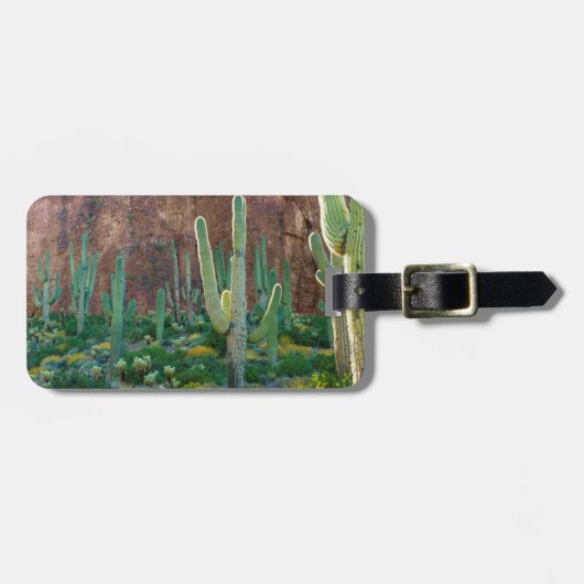 VS, Arizona. Saguaro Cactus veld door een Cliff Bagagelabel (Voorkant horizontaal)