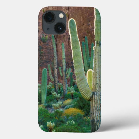 VS, Arizona. Saguaro Cactus veld door een Cliff Case-Mate iPhone Case (Achterkant)