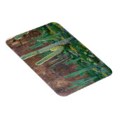 VS, Arizona. Saguaro Cactus veld door een Cliff Magneet (Rechterzijde)