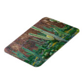 VS, Arizona. Saguaro Cactus veld door een Cliff Magneet (Linkerzijde)