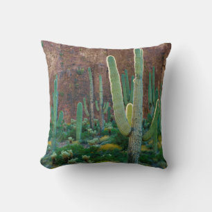 VS, Arizona. Saguaro Cactusveld bij een klif Kussen