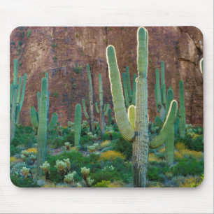 VS, Arizona. Saguaro Cactusveld bij een klif Muismat