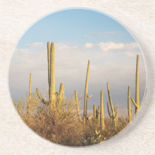 VS, Arizona, Saguaro National Park, Saguaro Zandsteen Onderzetter