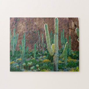 VS, Arizona. Saguarocactusveld bij een klif Legpuzzel