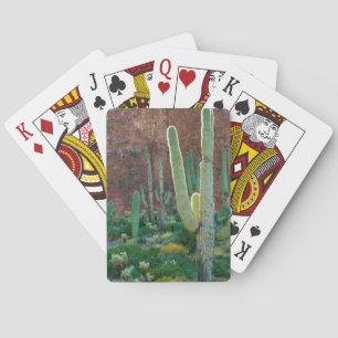 VS, Arizona. Saguarocactusveld bij een klif Pokerkaarten