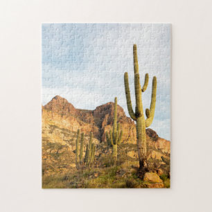 VS, Arizona, Tonto National Forest, Picketpost 2 Legpuzzel