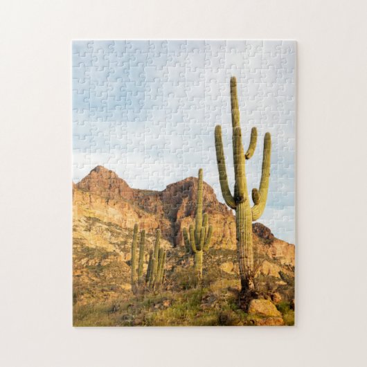 VS, Arizona, Tonto National Forest, Picketpost 2 Legpuzzel (Verticaal)
