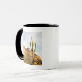 VS, Arizona, Tonto National Forest, Picketpost 2 Mok (Voorkant links)