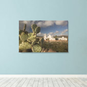 VS, Arizona, Tucson: Mission San Xavier del Bac 2 Canvas Afdruk (Insitu (Houten vloer))