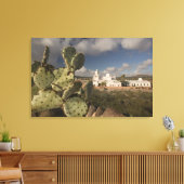 VS, Arizona, Tucson: Mission San Xavier del Bac 2 Canvas Afdruk (Insitu (Woonkamer))