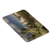 VS, Arizona, Tucson: Mission San Xavier del Bac 2 Magneet (Rechterzijde)