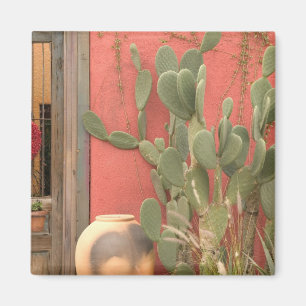 VS, Arizona, Tucson: Presidio Historisch District  Magneet