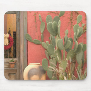 VS, Arizona, Tucson: Presidio Historisch District Muismat
