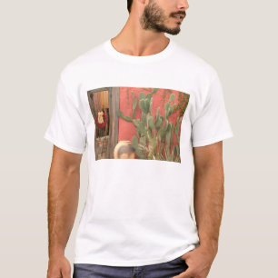 VS, Arizona, Tucson: Presidio Historisch District T-shirt