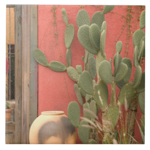 VS, Arizona, Tucson: Presidio Historisch District Tegeltje