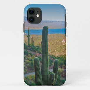 VS, Arizona. Uitzicht vanuit de ingang van Tonto Case-Mate iPhone Case