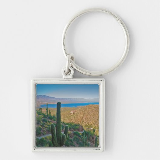 VS, Arizona. Uitzicht vanuit de ingang van Tonto Sleutelhanger (Voorkant)