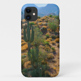 VS, Arizona. Uitzicht woestijn iPhone 11 Hoesje
