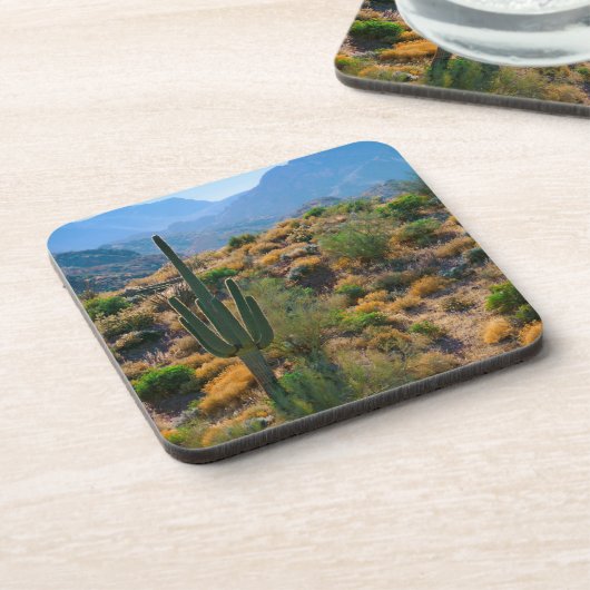 VS, Arizona. Uitzicht woestijn Onderzetter (Linkerzijde)