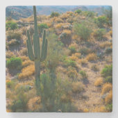 VS, Arizona. Uitzicht woestijn Stenen Onderzetter (Voorkant)