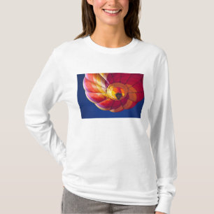 VS, Arizona, Val Vista. Een kleurvolle hetelucht T-shirt