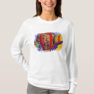 VS, Arizona, Val Vista. Kleurrijke hetelucht T-shirt