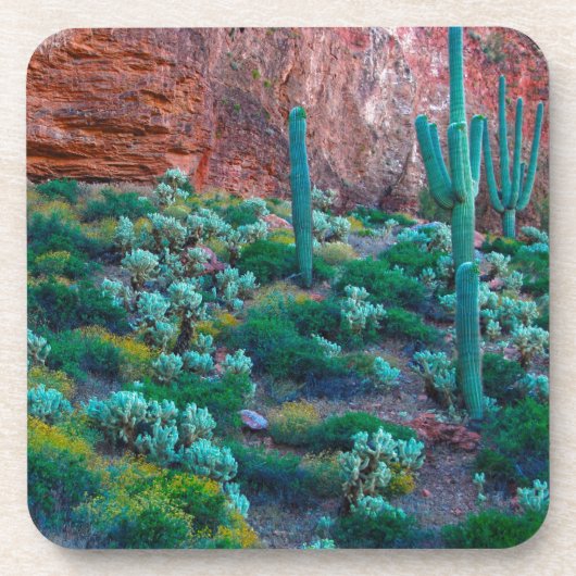 VS, Arizona. Woestijnflora Bier Onderzetter (Voorkant)