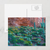 VS, Arizona. Woestijnflora Briefkaart (Voorkant / Achterkant)