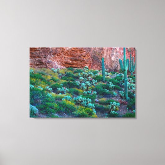 VS, Arizona. Woestijnflora Canvas Afdruk (Voorkant)